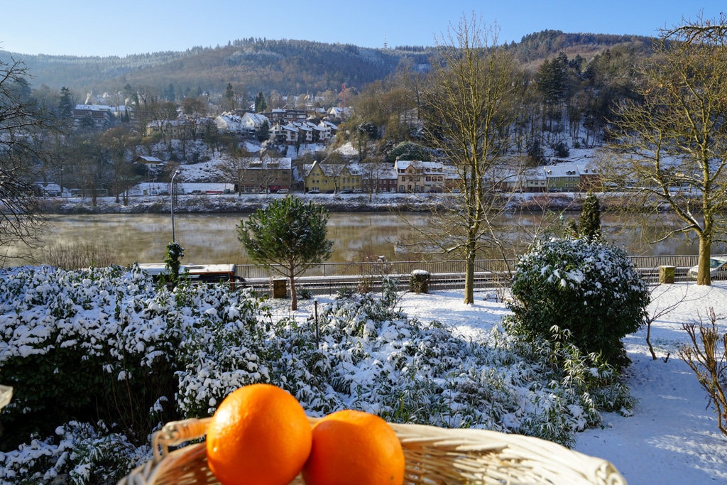 picknick-im-garten