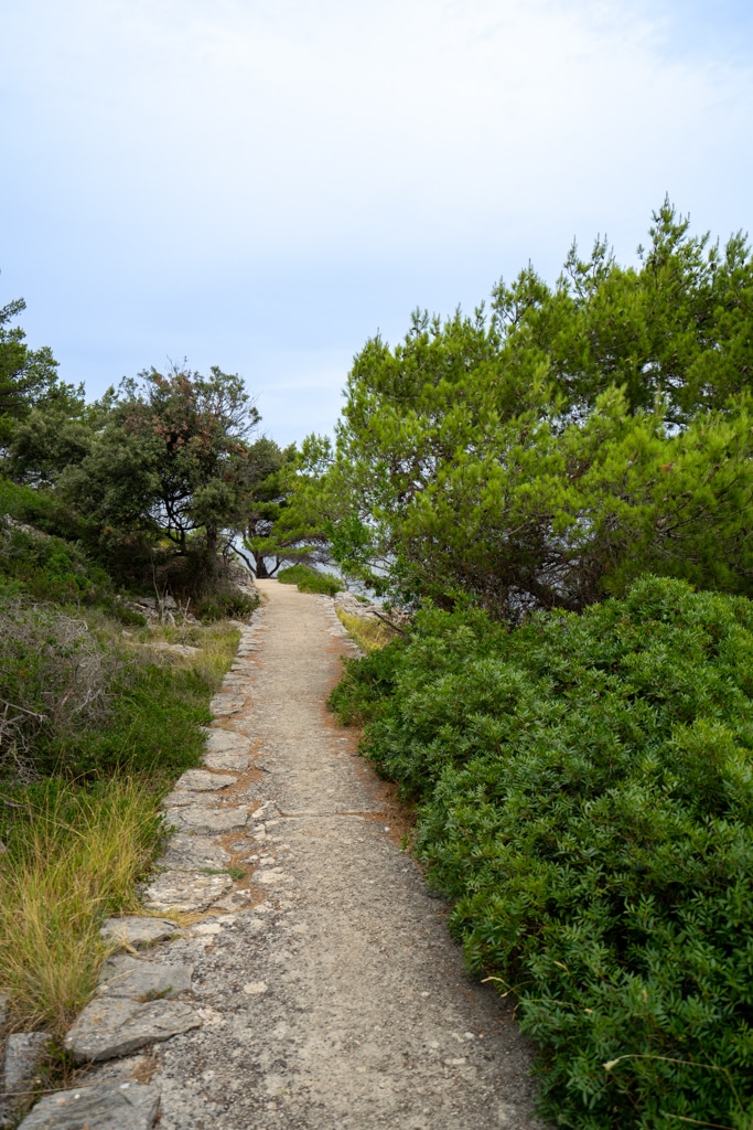 losinj-rovenska-javorna